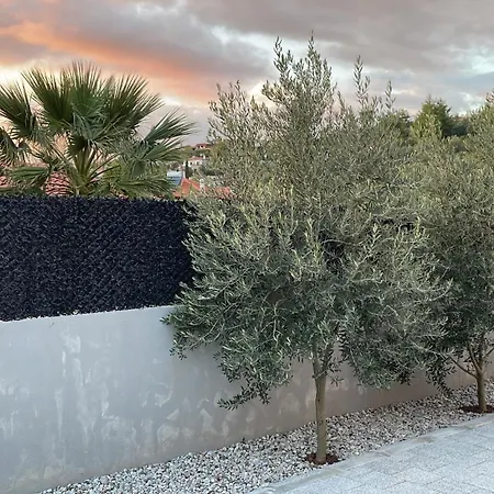 فيلة Olive