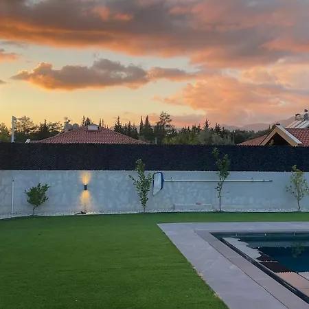 فيلة Olive فتحية